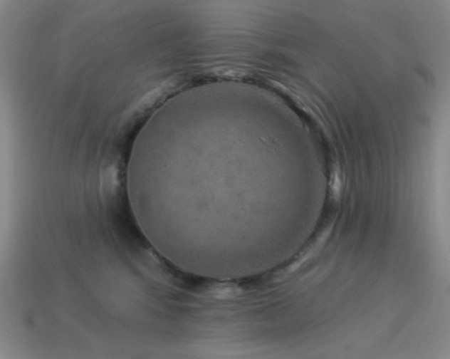 X0000114120424200910051515