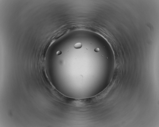 X0000114120425200910051515