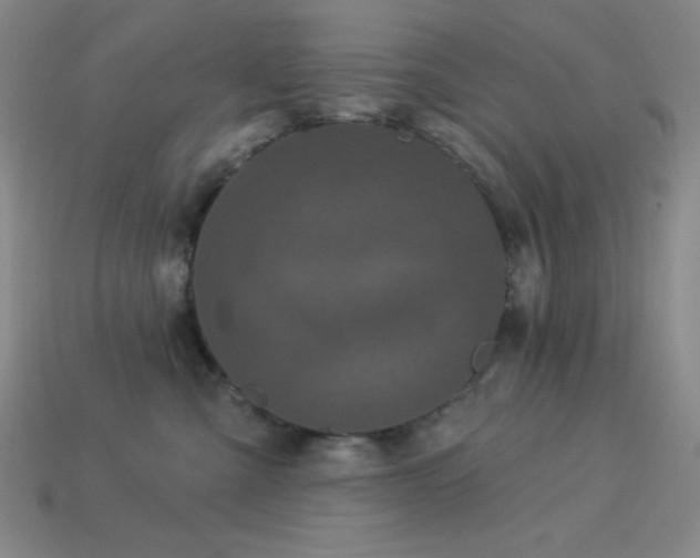 X0000114120427200910051515