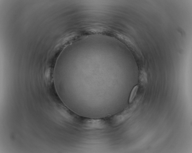 X0000114120428200910051514