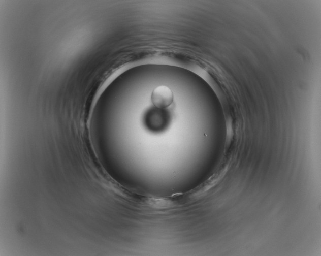 X0000114120429200910051514