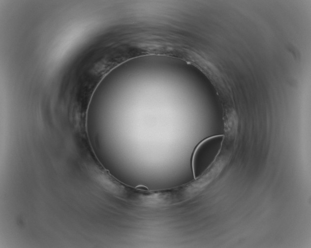 X0000114120430200910051514