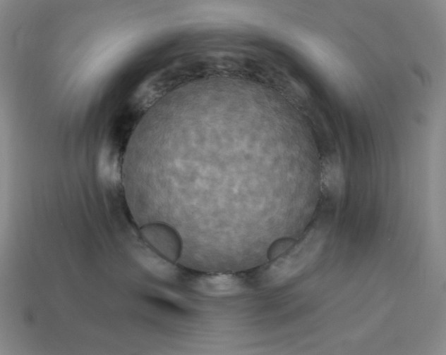 X0000114120431200910051514