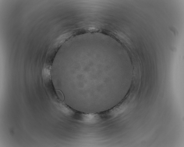 X0000114120432200910051514