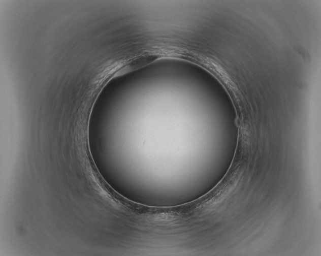 X0000114120433200910051514