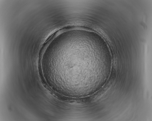 X0000114120434200910051514