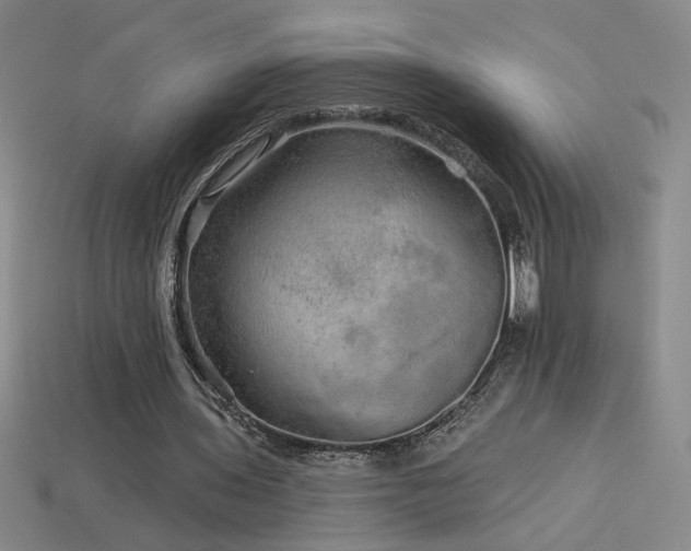 X0000114120435200910051514