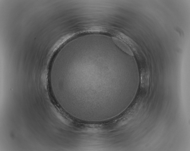 X0000114120436200910051514