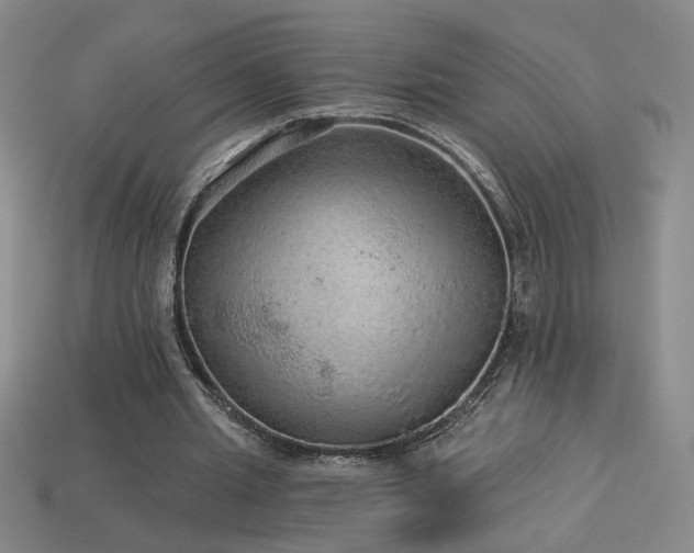 X0000114120437200910051514