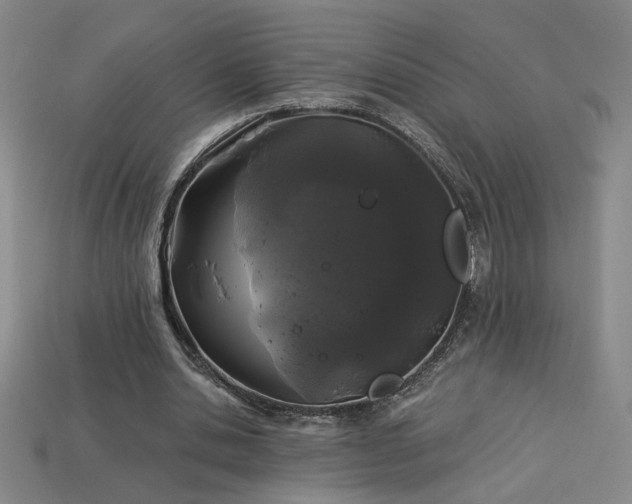 X0000114120438200910051514