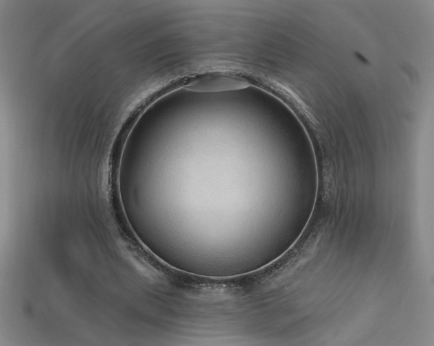 X0000114120439200910051514