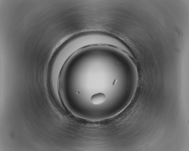 X0000114120440200910051514