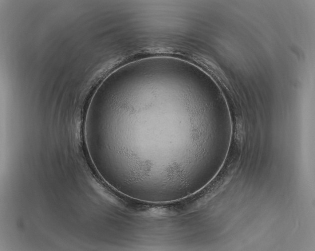 X0000114120441200910051514