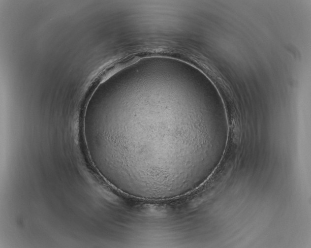 X0000114120442200910051514