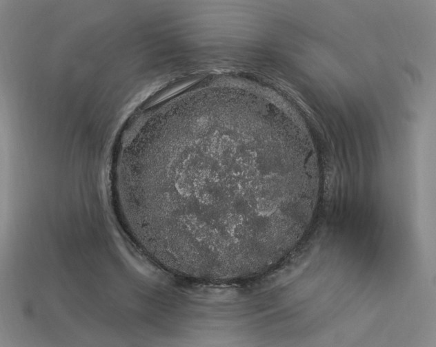 X0000114120443200910051514