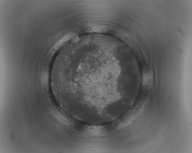 X0000114120444200910051514