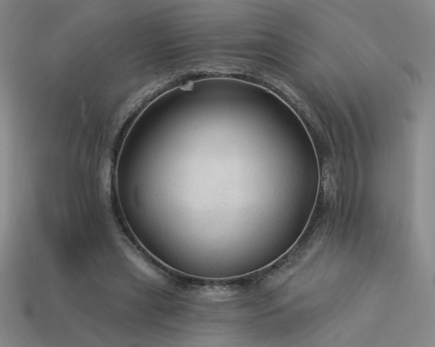 X0000114120445200910051514