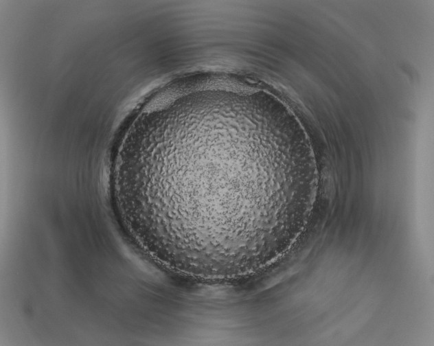 X0000114120446200910051514