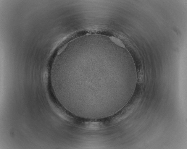 X0000114120448200910051514