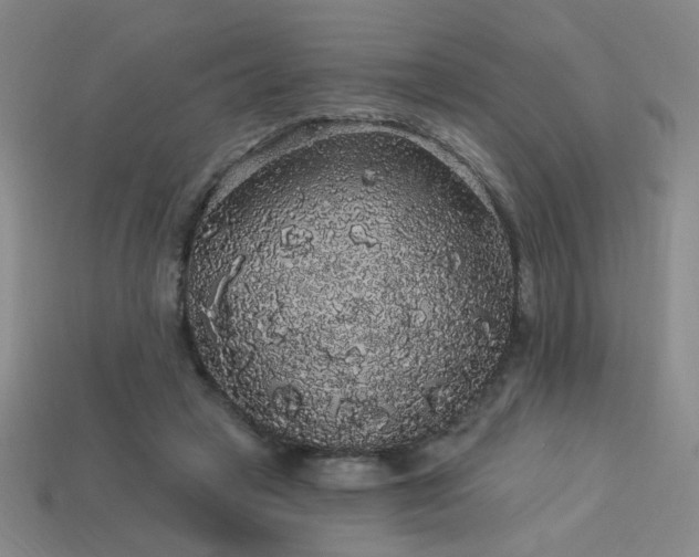 X0000114120449200910051514