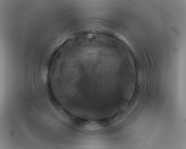 X0000114120451200910051514