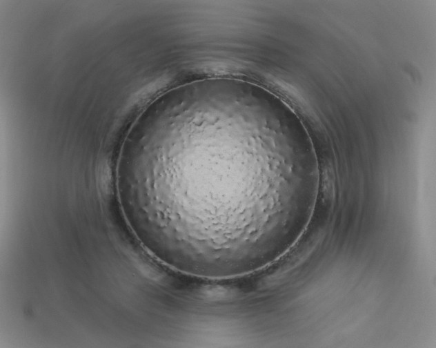 X0000114120453200910051514