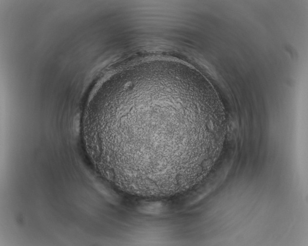 X0000114120454200910051514