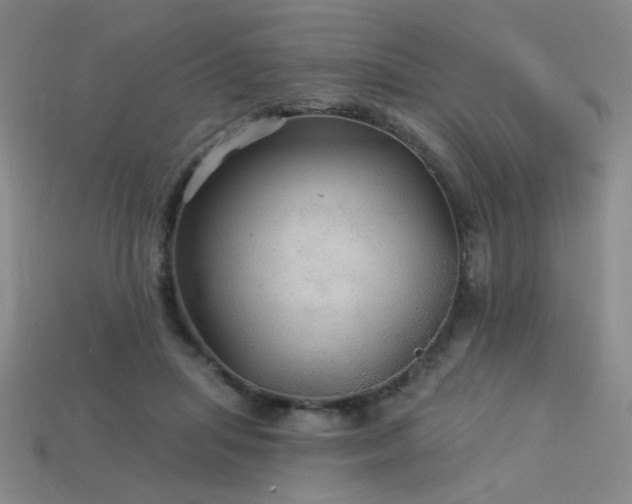 X0000114120455200910051514