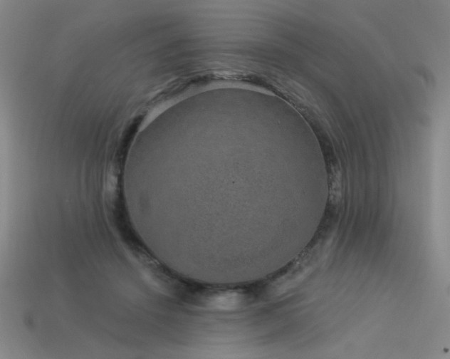 X0000114120456200910051514