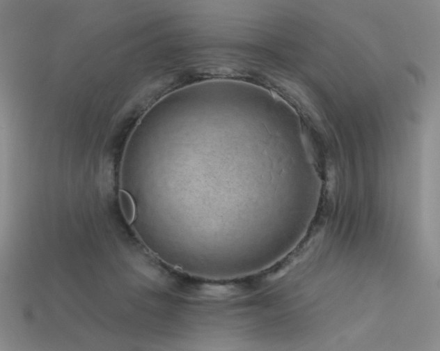 X0000114120457200910051514