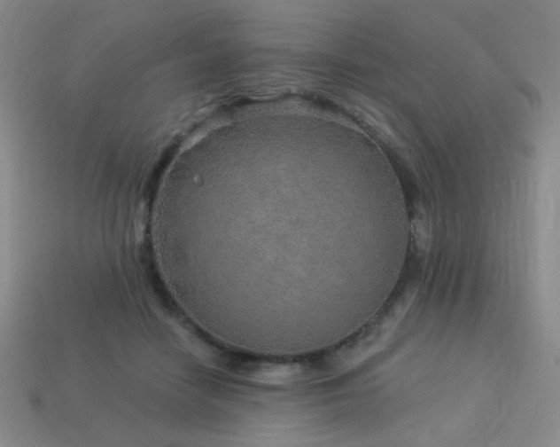 X0000114120458200910051514