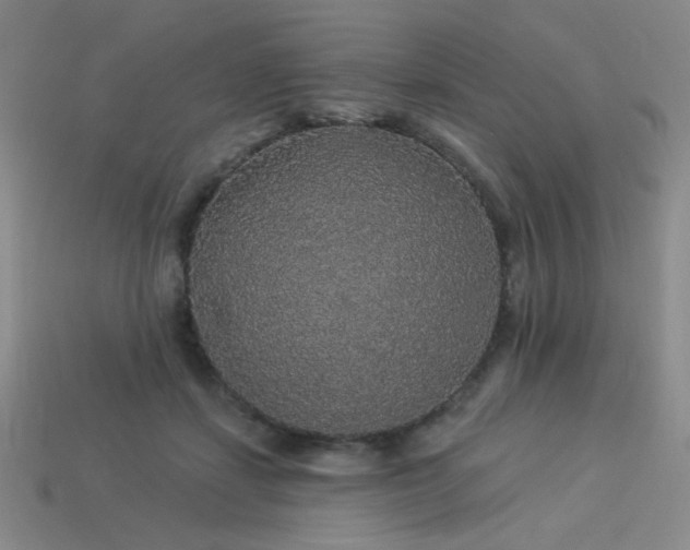 X0000114120459200910051514