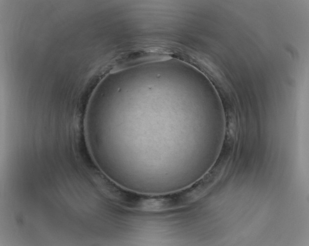 X0000114120461200910051514