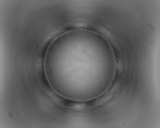 X0000114120462200910051514