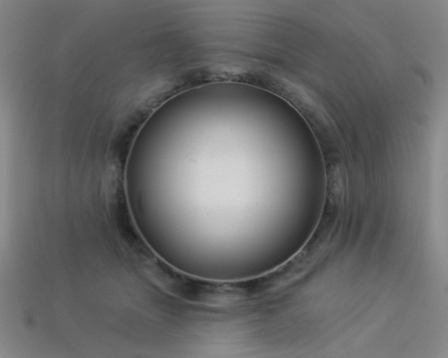 X0000114120463200910051514