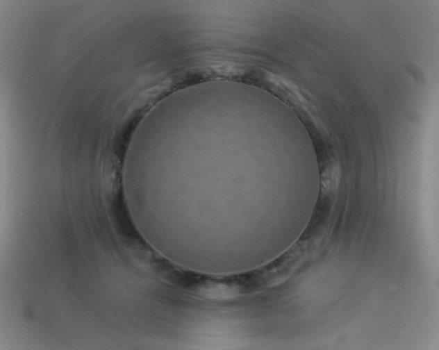 X0000114120464200910051514