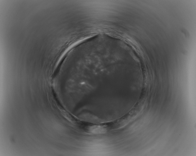 X0000114120465200910051514