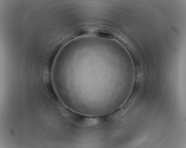 X0000114120469200910051514