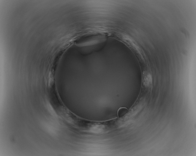 X0000114120471200910051514