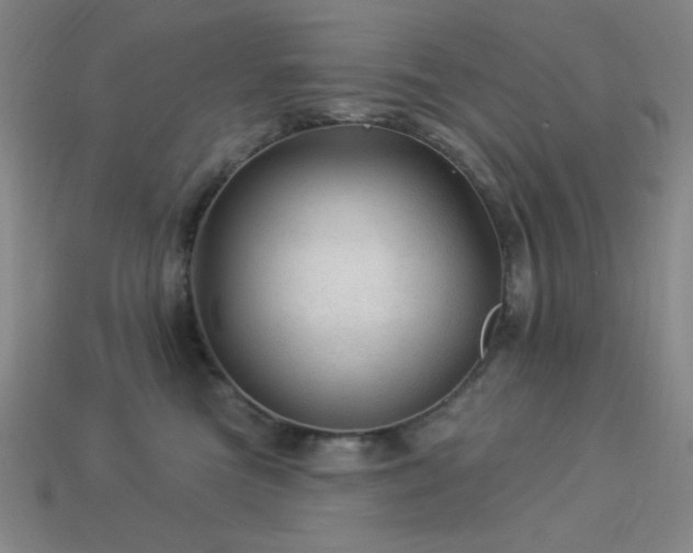 X0000114120473200910051514