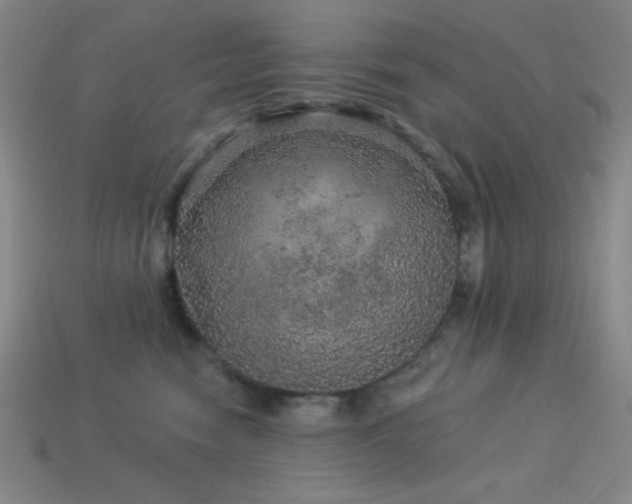 X0000114120474200910051514