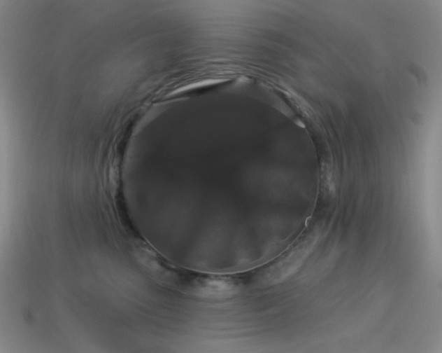 X0000114120475200910051514