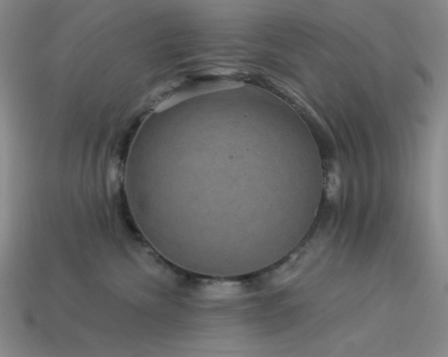 X0000114120476200910051514