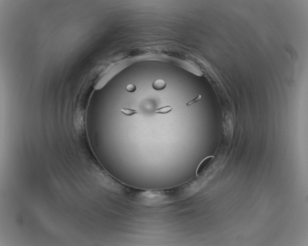 X0000114120477200910051514