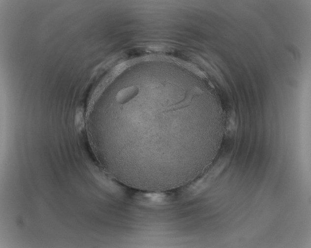 X0000114120478200910051514