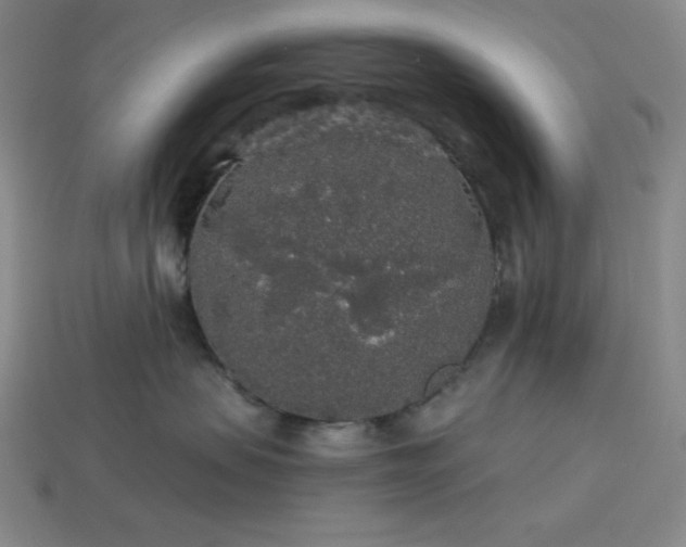 X0000114120479200910051514