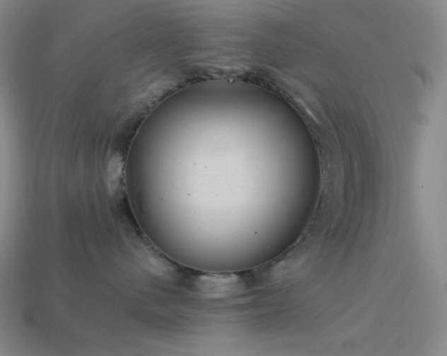 X0000114120480200910051514