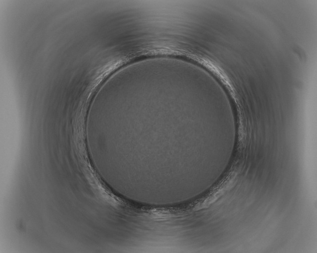 X0000114120481200910051514