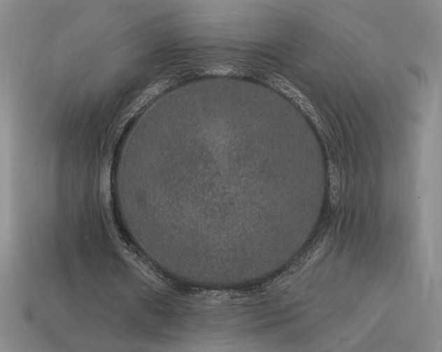 X0000114120482200910051514