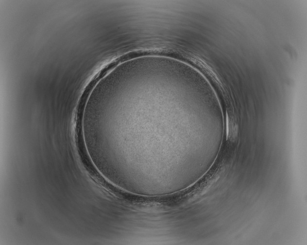 X0000114120483200910051514